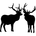 (image for) Elk Fight 005 ! =