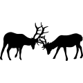 (image for) Elk Fight 006 =