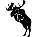(image for) Moose Jumping =