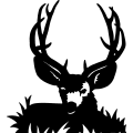 (image for) Mule Deer 001 =