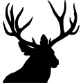 (image for) Mule Deer 003 =
