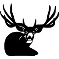 (image for) Mule Deer 004 =