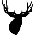 (image for) Mule Deer Head =