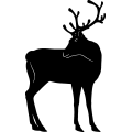 (image for) Reindeer 35 =