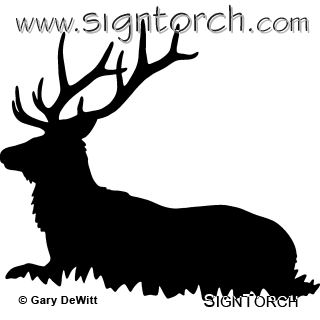 (image for) Bull Elk 009 =