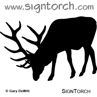 (image for) Bull Elk 011 =