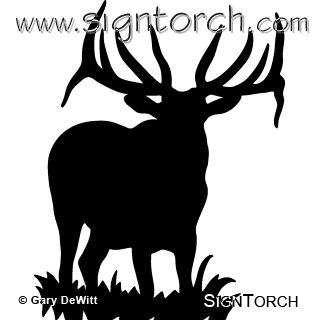 (image for) Bull Elk 017 =