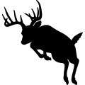 (image for) Whitetail Jumping =