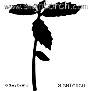 (image for) Sapling 044 _