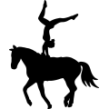 (image for) Eq Vaulting 002 =