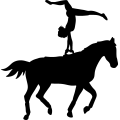 (image for) Eq Vaulting 004 =