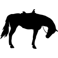 (image for) Horse Saddled 007 =