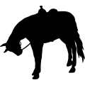(image for) Horse Saddled 009 =