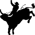 (image for) Bull Rider 7 =