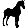 (image for) Horse 182 =