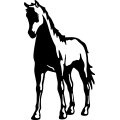 (image for) Horse 187 =