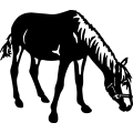(image for) Horse 189 =