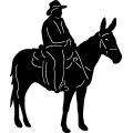 (image for) Mule Rider =