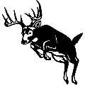 (image for) Deer, Elk, Moose