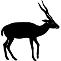 (image for) Black Antelope ~