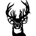 (image for) Buck 005 =