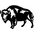 (image for) Buffalo Bull =