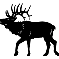 (image for) Elk 0007 ~