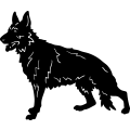 (image for) German Shepherd 013 ~