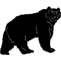 (image for) Kodiak Bear ~