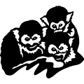 (image for) Monkey 13 =