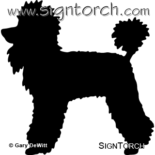 (image for) Poodle _