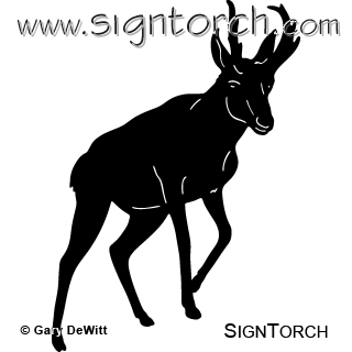 (image for) Pronghorn 004 ~