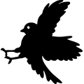 (image for) Bird 3 =