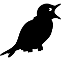 (image for) Bird 4 =