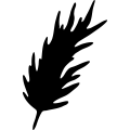 (image for) Feather 36 _