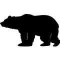 (image for) Bear 026 ~