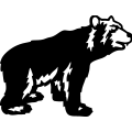 (image for) Bear 030 =