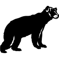(image for) Bear 031 =