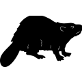 (image for) Beaver 2 ~