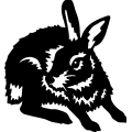 (image for) Bunny Rabbit =
