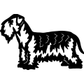 (image for) Cesky Terrier ~