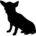 (image for) Chihuahua =