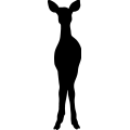 (image for) Deer 063 _