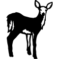 (image for) Deer 065 =
