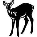 (image for) Deer 068 =