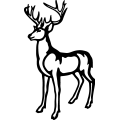 (image for) Deer 070 =