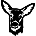 (image for) Deer 071 =