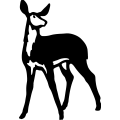 (image for) Deer 072 =