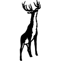 (image for) Deer 073 =