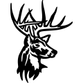 (image for) Deer 074 =